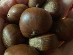 板栗-金栗王(清扬路店)