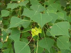 -苏州河梦清园环保主题公园