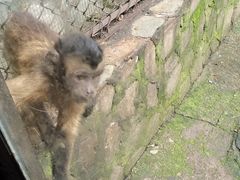 -云南野生动物园
