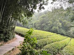 -敬亭山风景名胜区