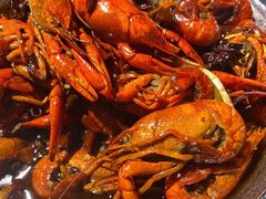 -大孩龙虾(体育场旗舰店)