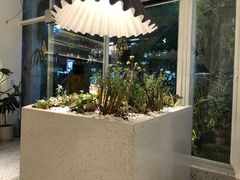 -春树下·树屋花房西餐厅(罍街AS1980店)