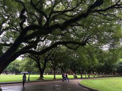 iphone_upload_pic-中山大学学者灵芝(园南路店)