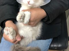 -宠颐生中康贝怡动物医院