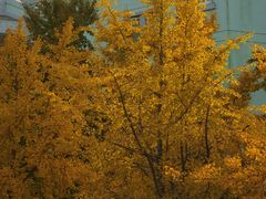 -上海交通大学(闵行校区)