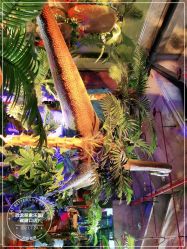 点击看大图 -恐龙探索乐园(磁器口店)