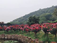 -龙寺生态园