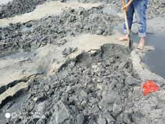 -北海金海湾红树林生态旅游区