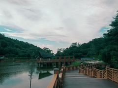 -神光山国家森林公园