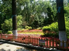 -哈尔滨文化公园