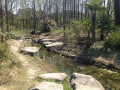 iphone_upload_pic-新江湾城公园