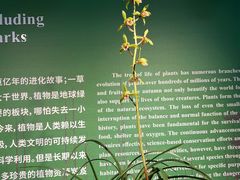-杭州植物园