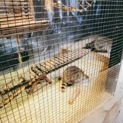 -酷嗒动物文化乐园(cutezoo西溪乐天城店)