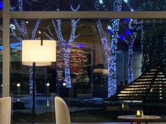 -Plush大堂酒廊(北京金融街威斯汀大酒店)