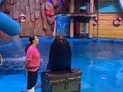 -烟台海昌鲸鲨海洋公园