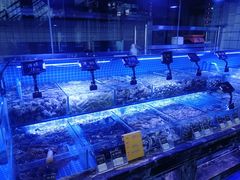 -渔民船说·北塘海鲜·天津菜·海肠捞饭(北塘古镇店)
