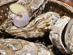 -蚝堡海鲜·威海菜·海肠捞饭·烧烤·亚洲吃蚝公司(幸福门店)