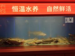 -鱼上·烤鱼(万象城店)