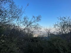 -香山公园