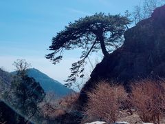 -泰山风景名胜区