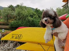 -宁波九龙湖开元度假村