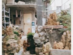 -金科花卉市场