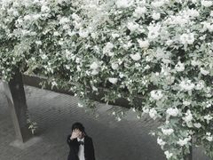-四川大学(望江校区)