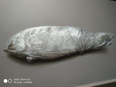 -芒果爆爆(东海缤纷店)