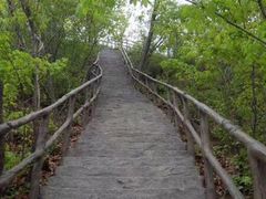 -天女山森林公园