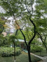 -南京医科大学友谊整形外科医院