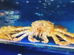 -鹰龙海畔度假酒店(咸祥店)