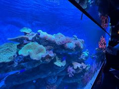 -海合安青岛极地海洋公园