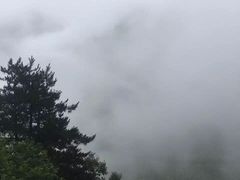 -普陀山风景区-佛顶山