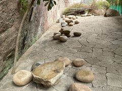 -武夷山风景名胜区-虎啸岩