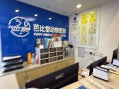 -芭比堂动物医院·心脏科·老年急重症·夜诊·吉雅分院