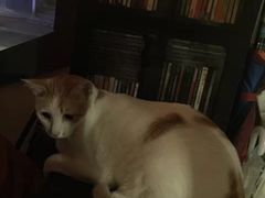 -江湖边·小生活