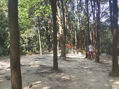 景点-火炉山森林公园