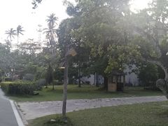 -东郊椰林