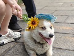 -禹州森林植物园