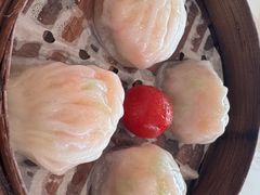 招牌虾饺妹-虾饺妹·酒家(海珠广场店)