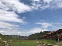 -关山草原
