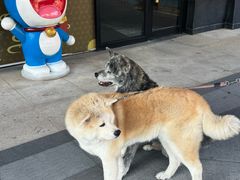 -大江户·温泉洗浴(浑南店)