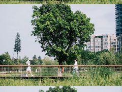 -桂溪生态公园