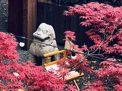 -苏州本色美术馆