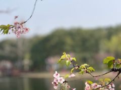 -新江湾城公园
