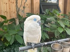 -南宫五洲植物乐园