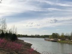 -东郊湿地公园