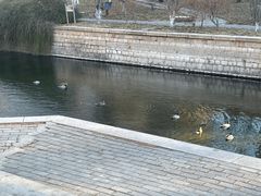 -元大都城垣遗址公园