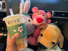 -叶子与茶(苏宁广场店)