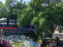 -烟桥私房菜馆(奋哥)